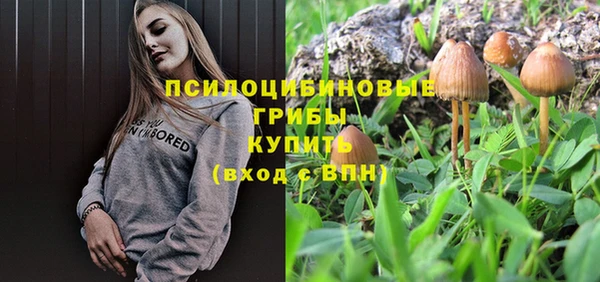 герыч Няндома