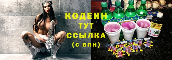 герыч Няндома