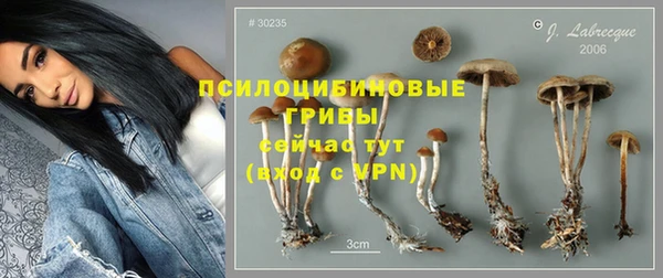 МДПВ Нягань