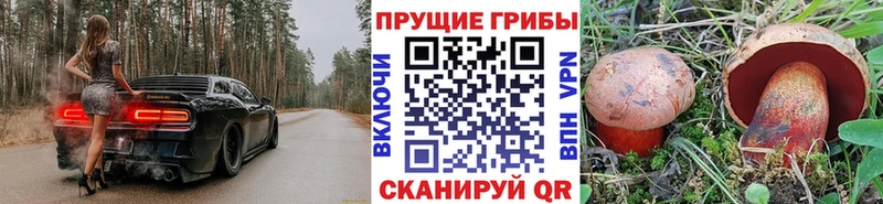 Галлюциногенные грибы мицелий  гидра ONION  Спасск-Дальний 
